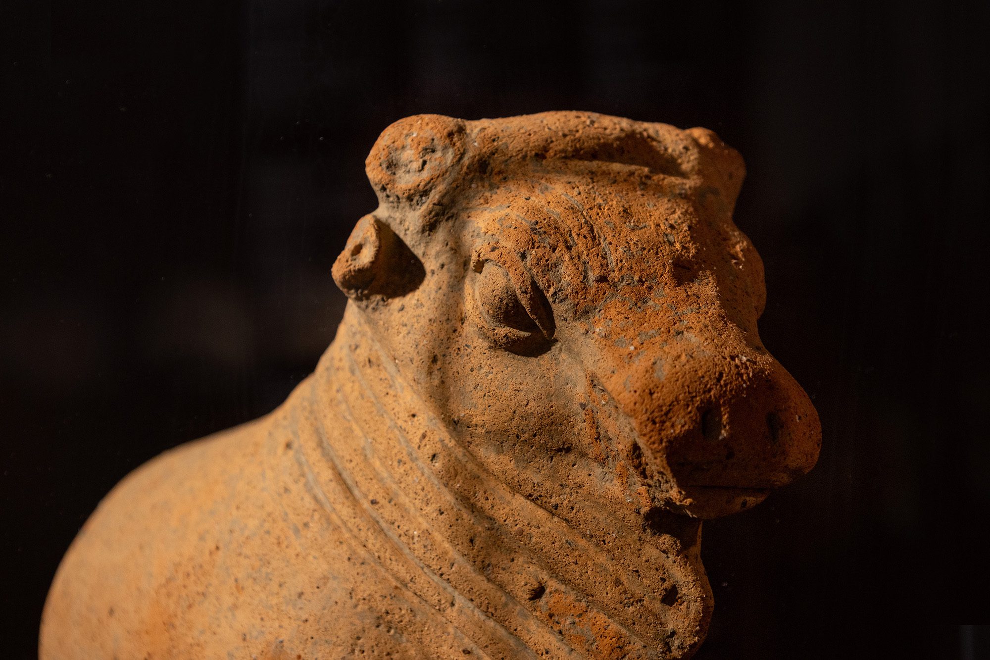 white-picasso-joyoflife-08