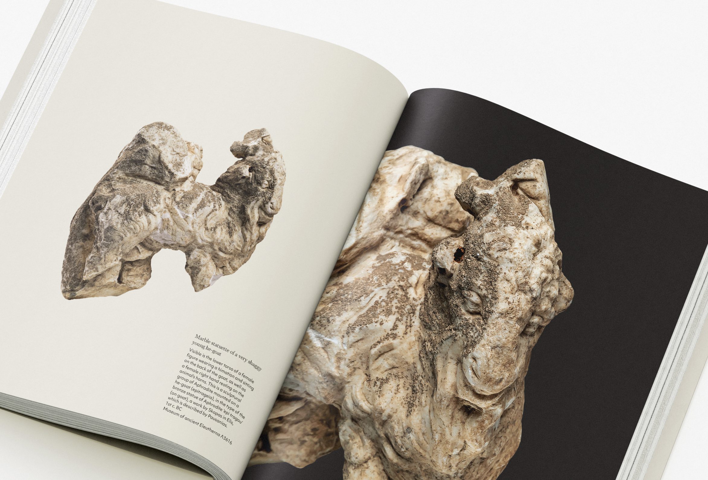 white-picasso-joyoflife-11